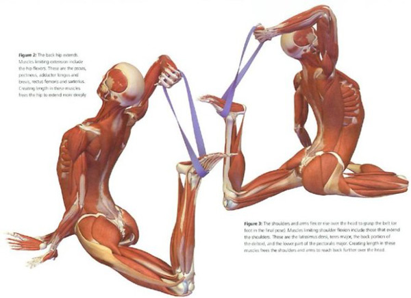 哈他瑜伽體式圖片，你練錯(cuò)了嗎？