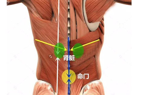 練瑜伽與生理期的關(guān)系，你知道這些嗎？